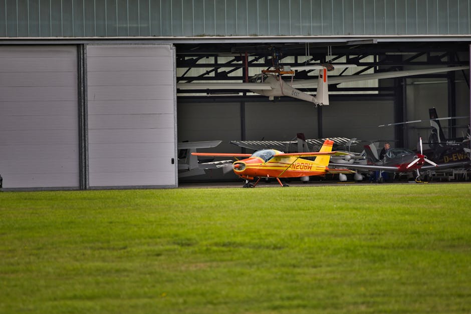 Medlemmar samlas kring flygplan och hangar.